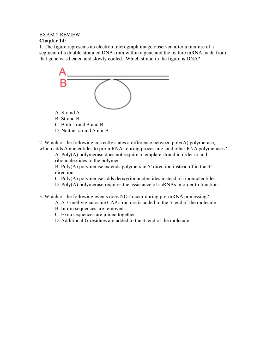 1. the Figure Represents an Electron Micrograph Image Observed After a Mixture of a Segment