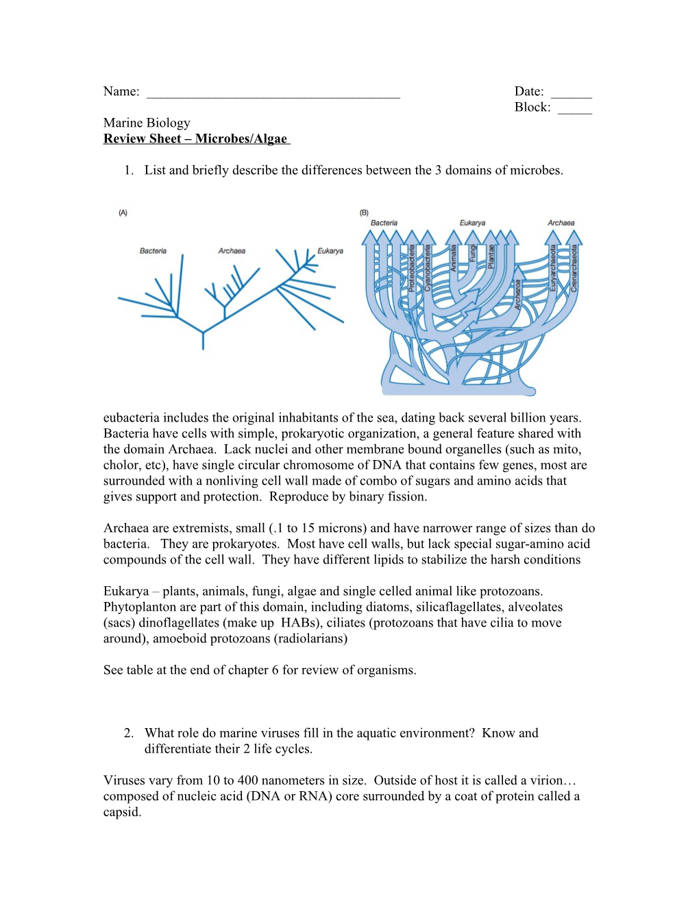 Review Sheet Microbes/Algae