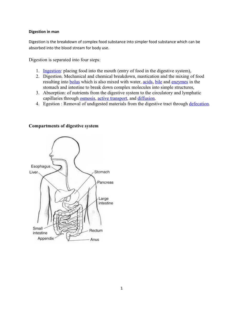 Digestion in Man