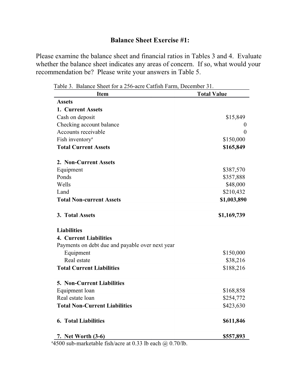 Balance Sheet Exercise #1