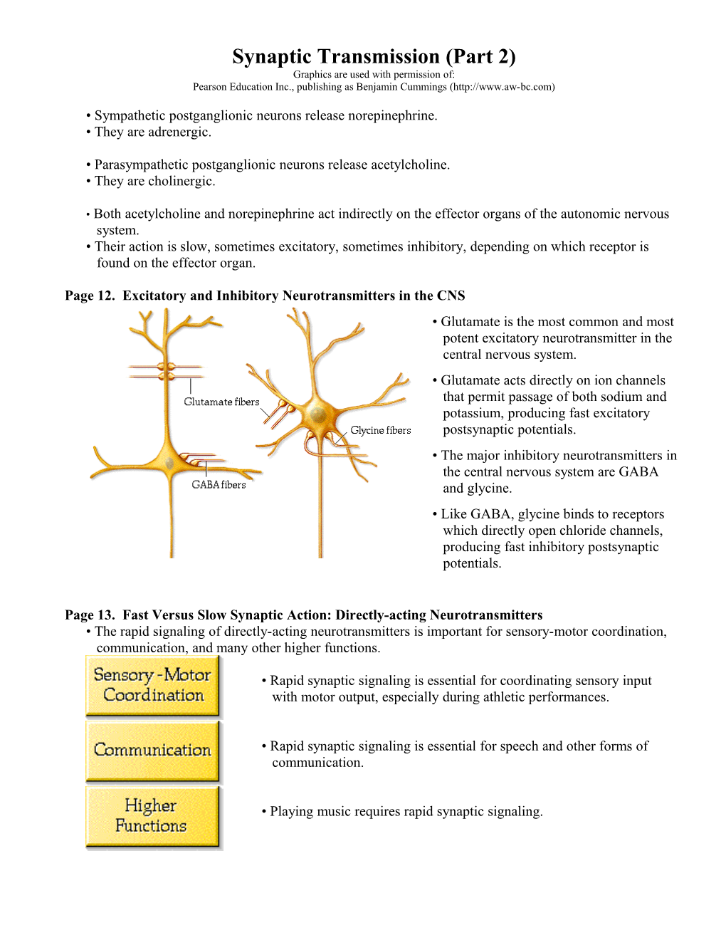 Synaptic Transmission (Part 2)