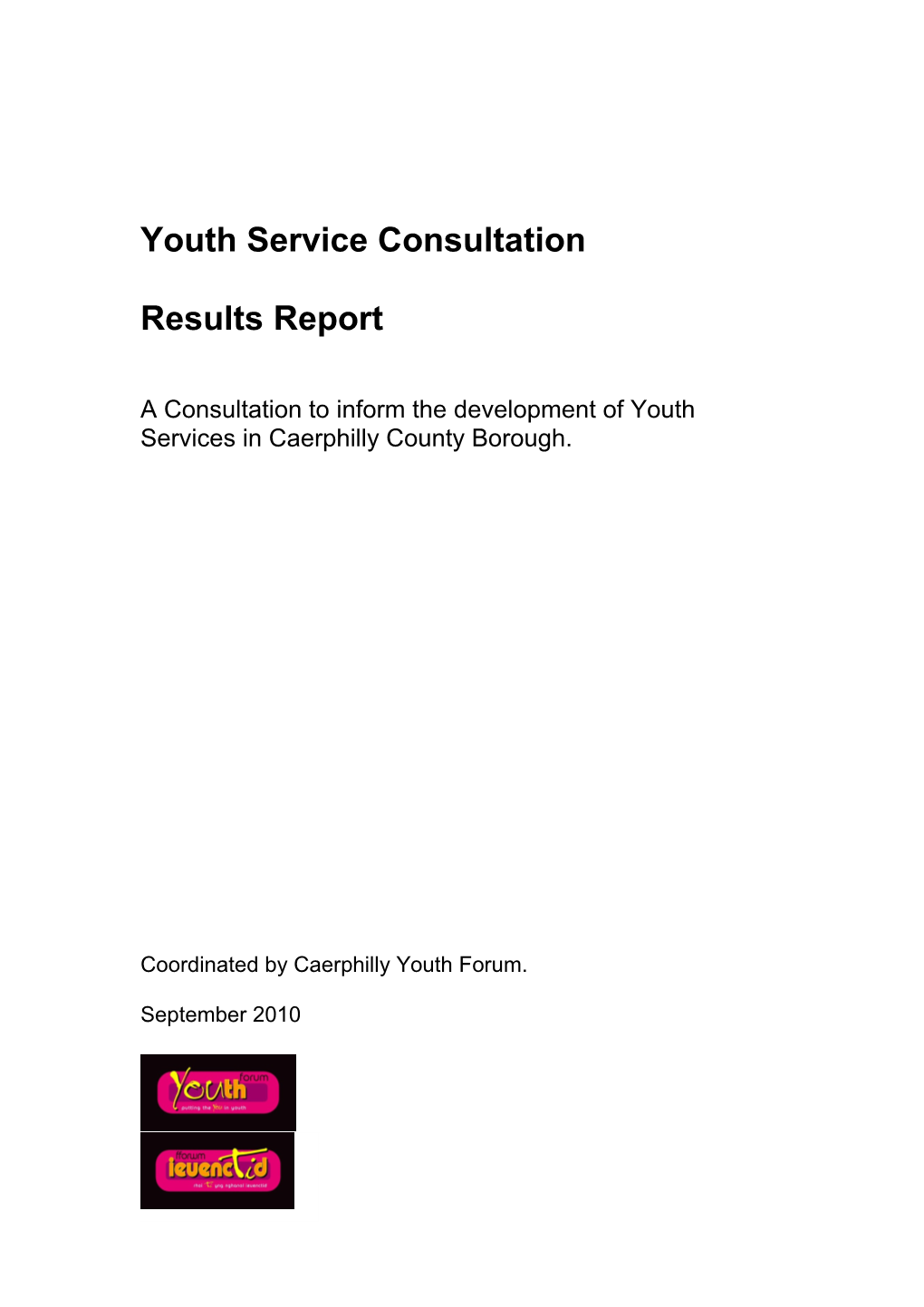 Youth Service Consultation