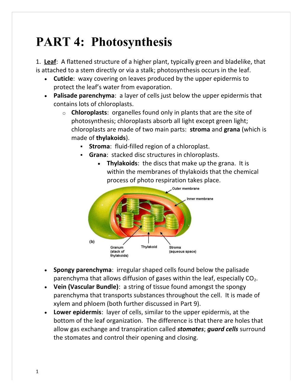 PART 4: Photosynthesis