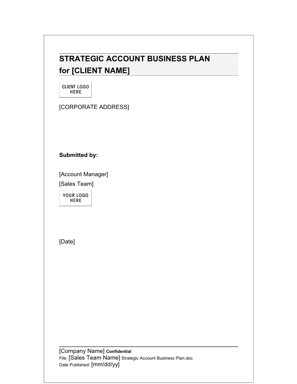 Strategic Account Business Plan