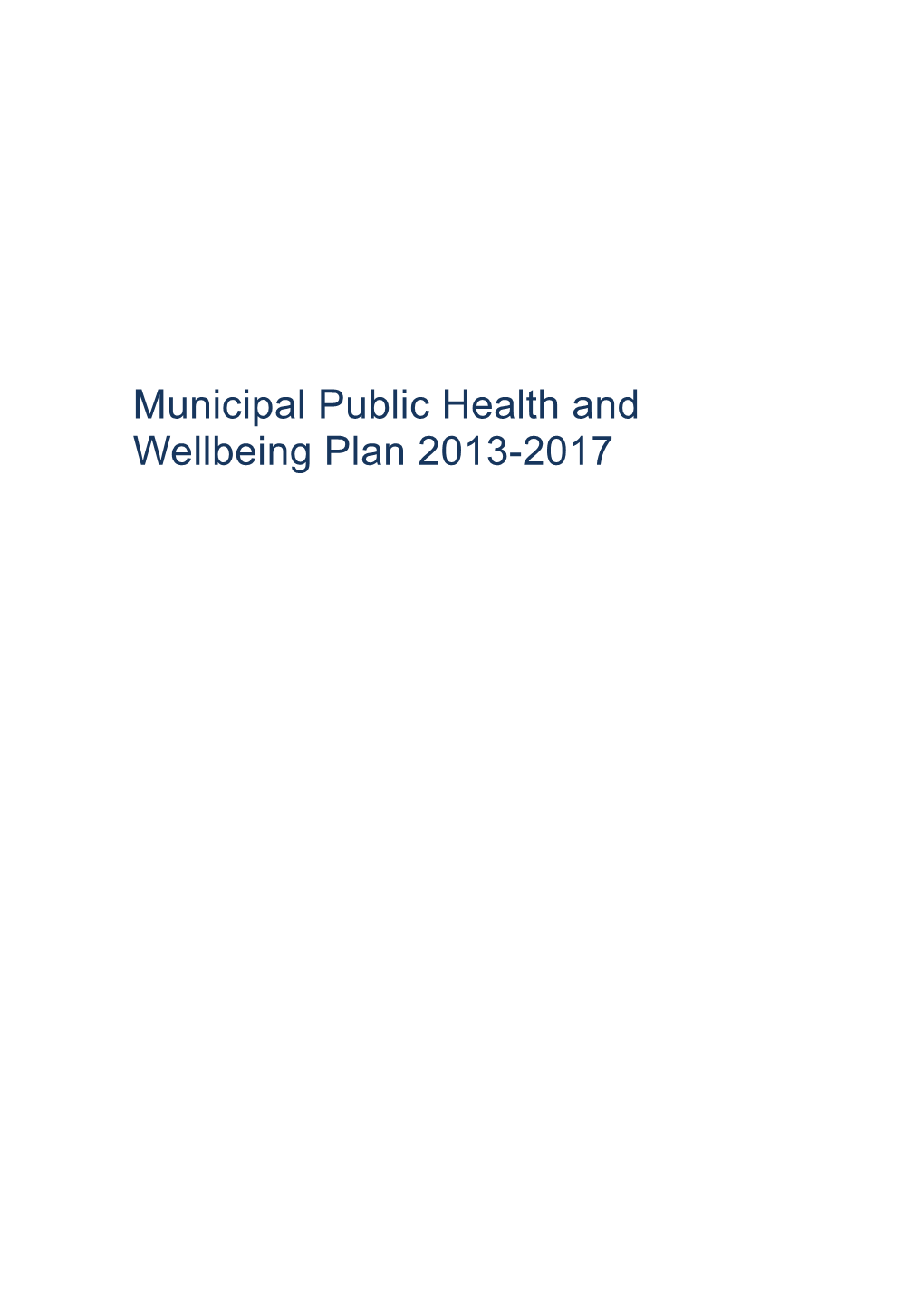 Municipal Public Health and Wellbeing Plan 2013-2017
