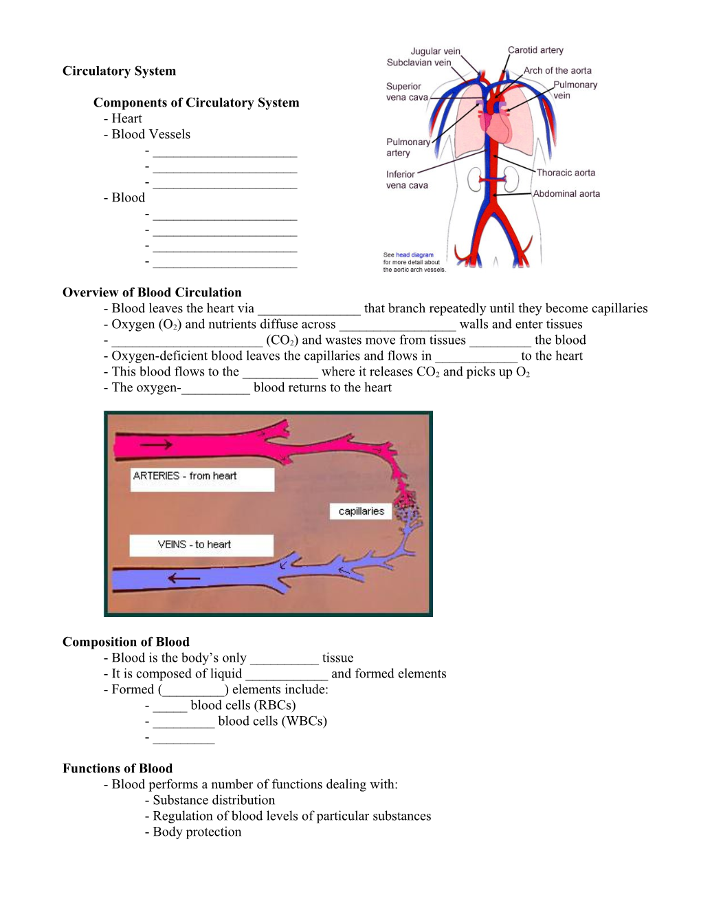 Circulatory System Part I