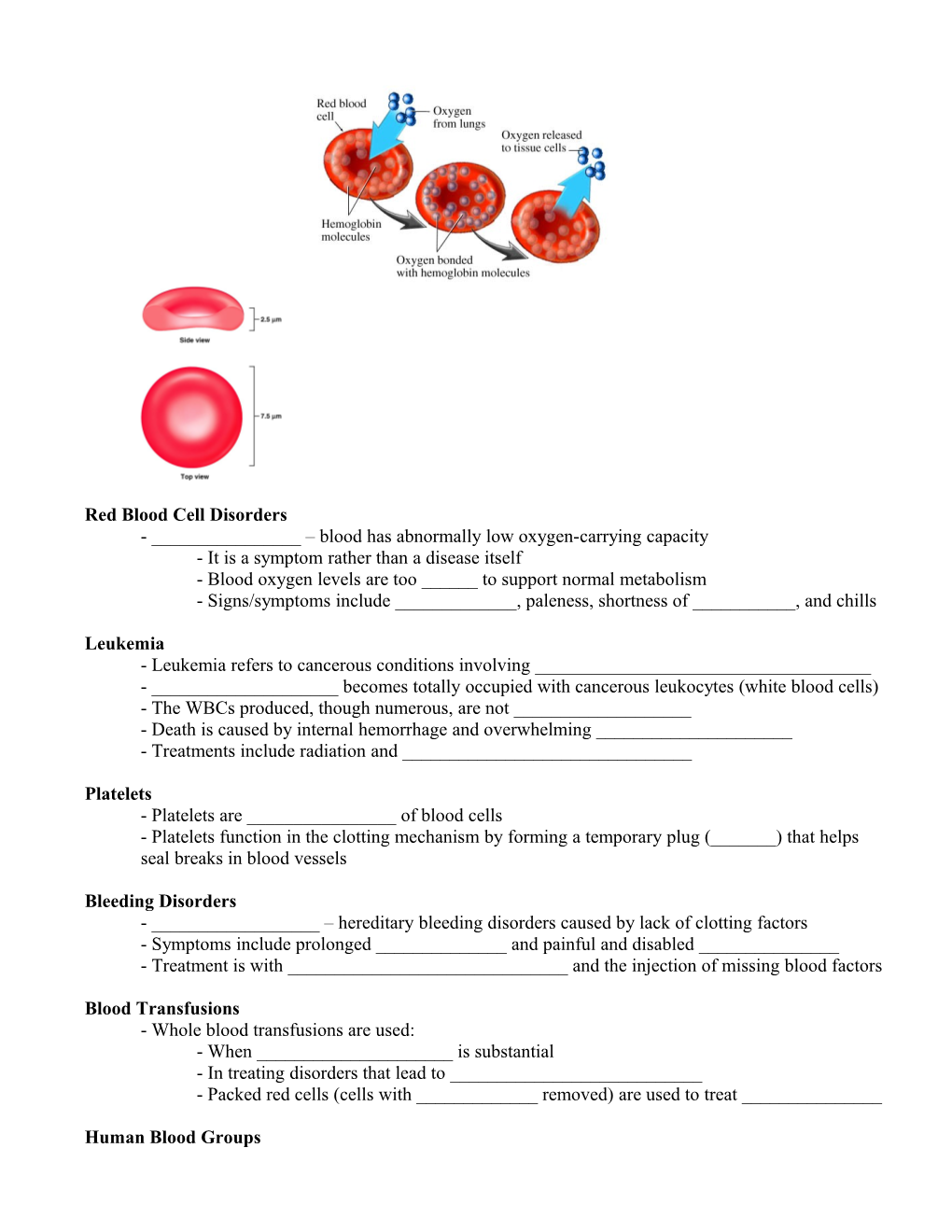 Circulatory System Part I