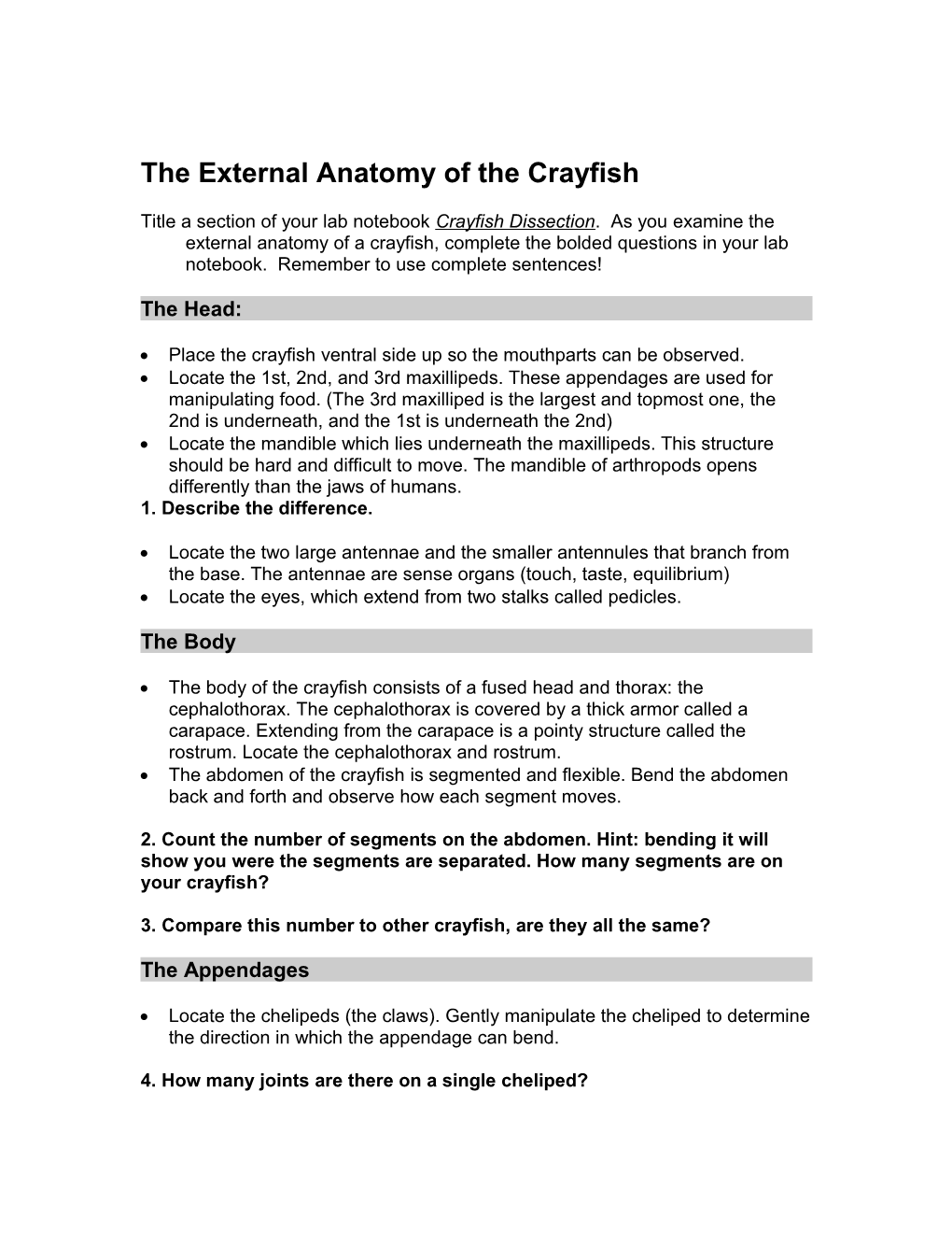 The External Anatomy of the Crayfish