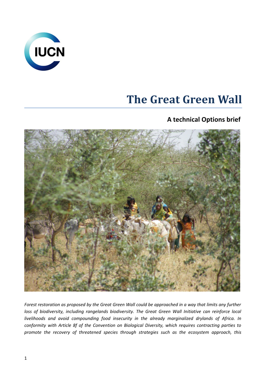 The Great Green Wall: a Technical Options Brief