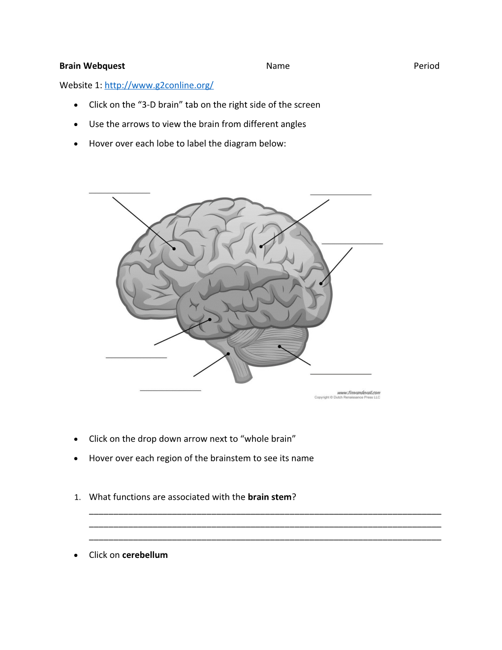 Brain Webquestnameperiod