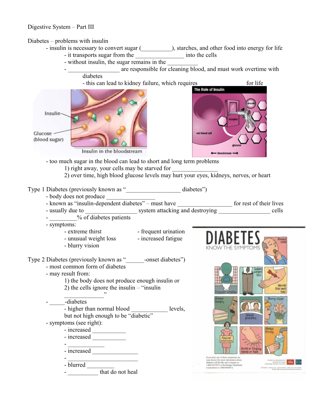 Digestive System Part III (Answers)