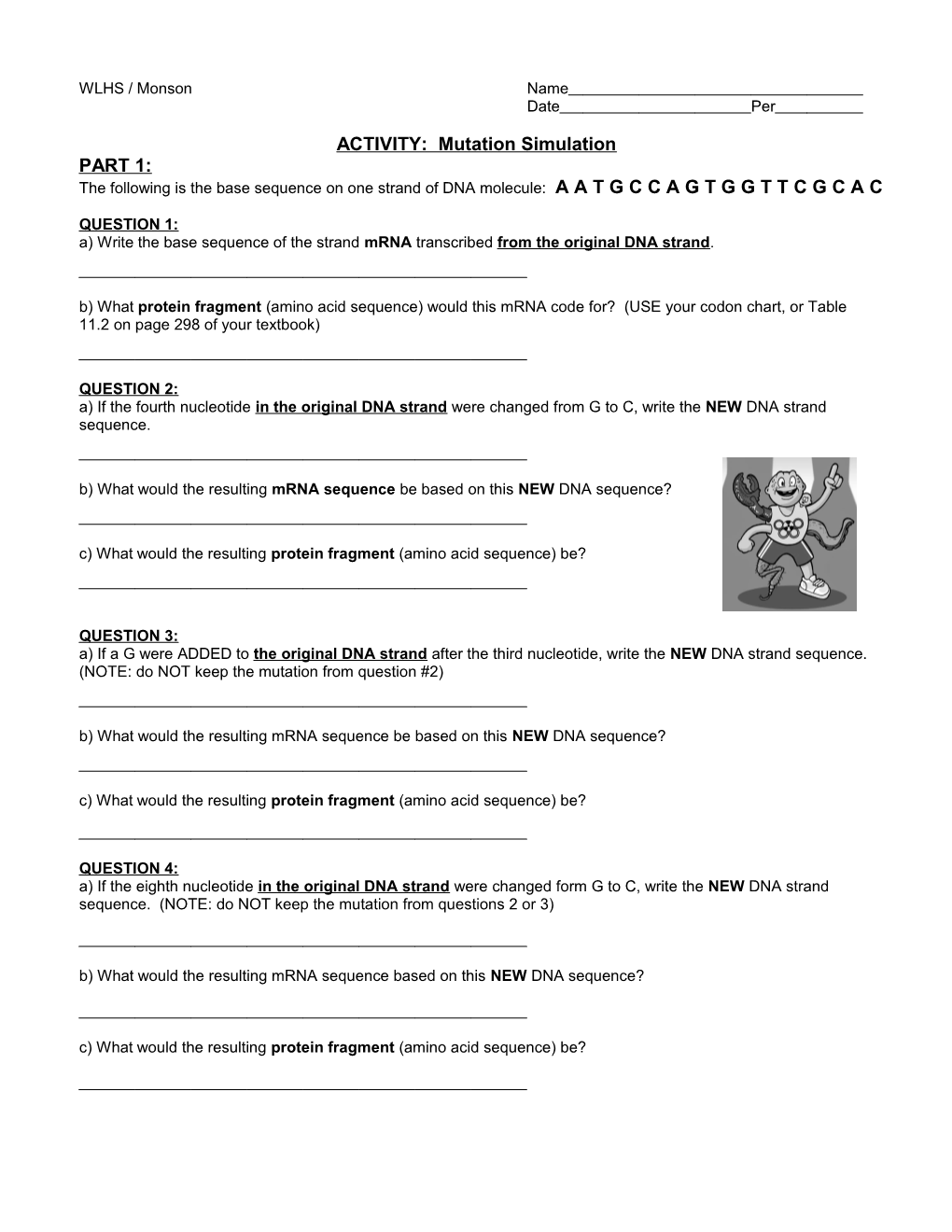 ACTIVITY: Mutation Simulation