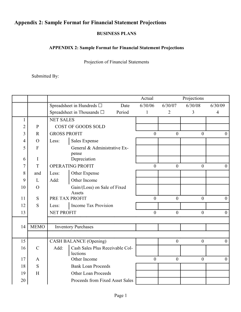 Appendix 2: Sample Format for Financial Statement Projections