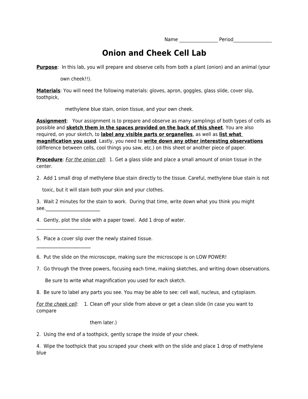 Onion and Cheek Cell Lab