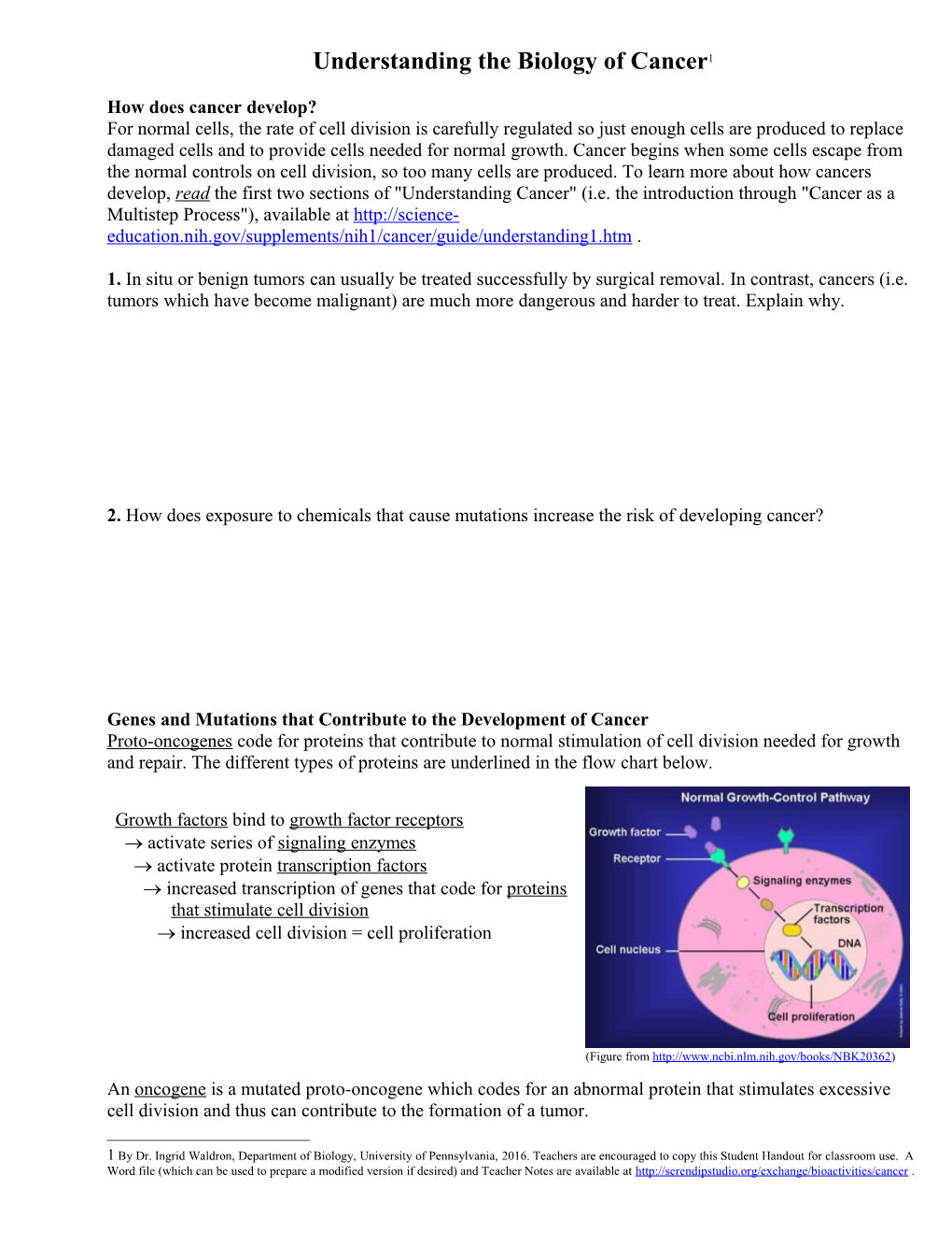 How Does Cancer Develop?