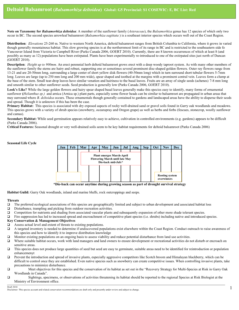 Note on Taxonomy Forbalsamorhiza Deltoidea : a Member of the Sunflower Family (Asteraceae),The