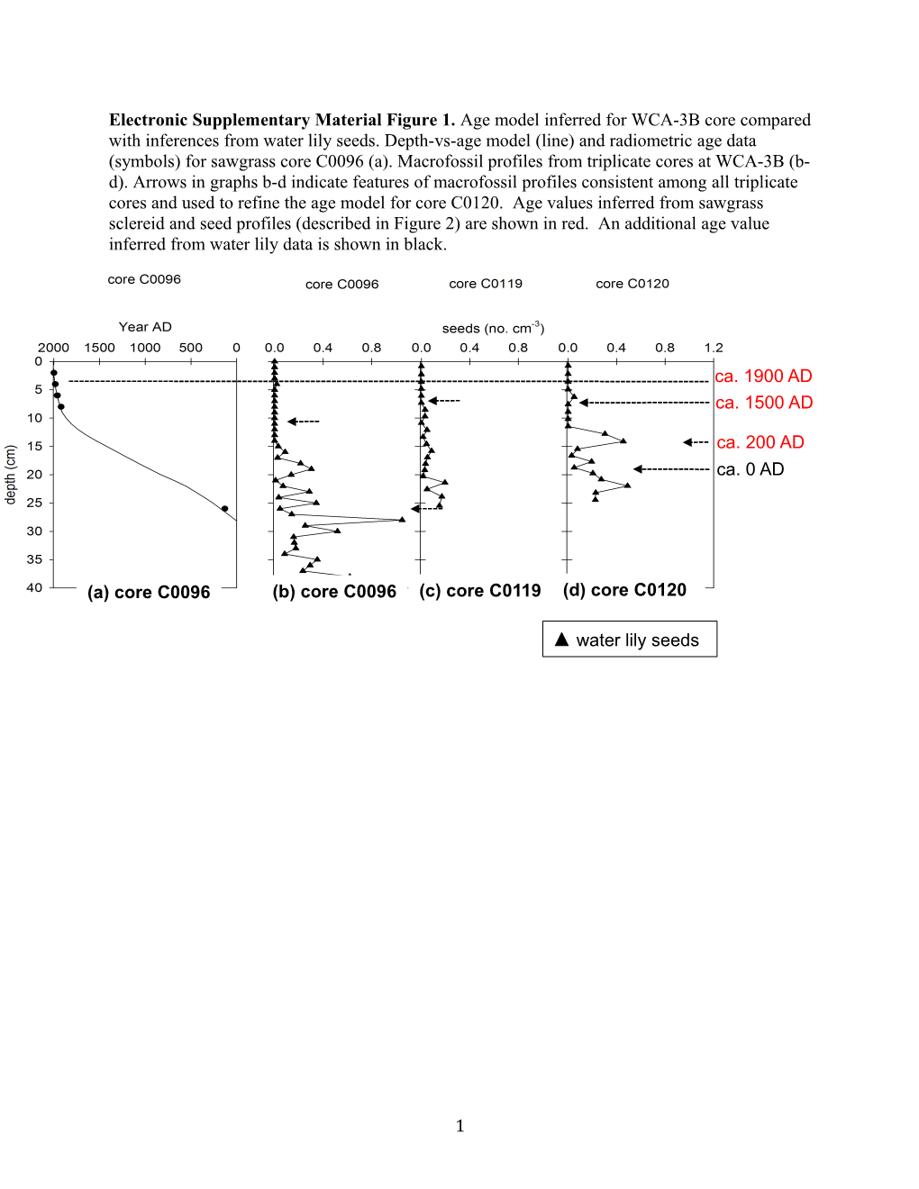 * Conventional (Conv.) Ages Are Reported in RCYBP (Radiocarbon Years Before Present, Present