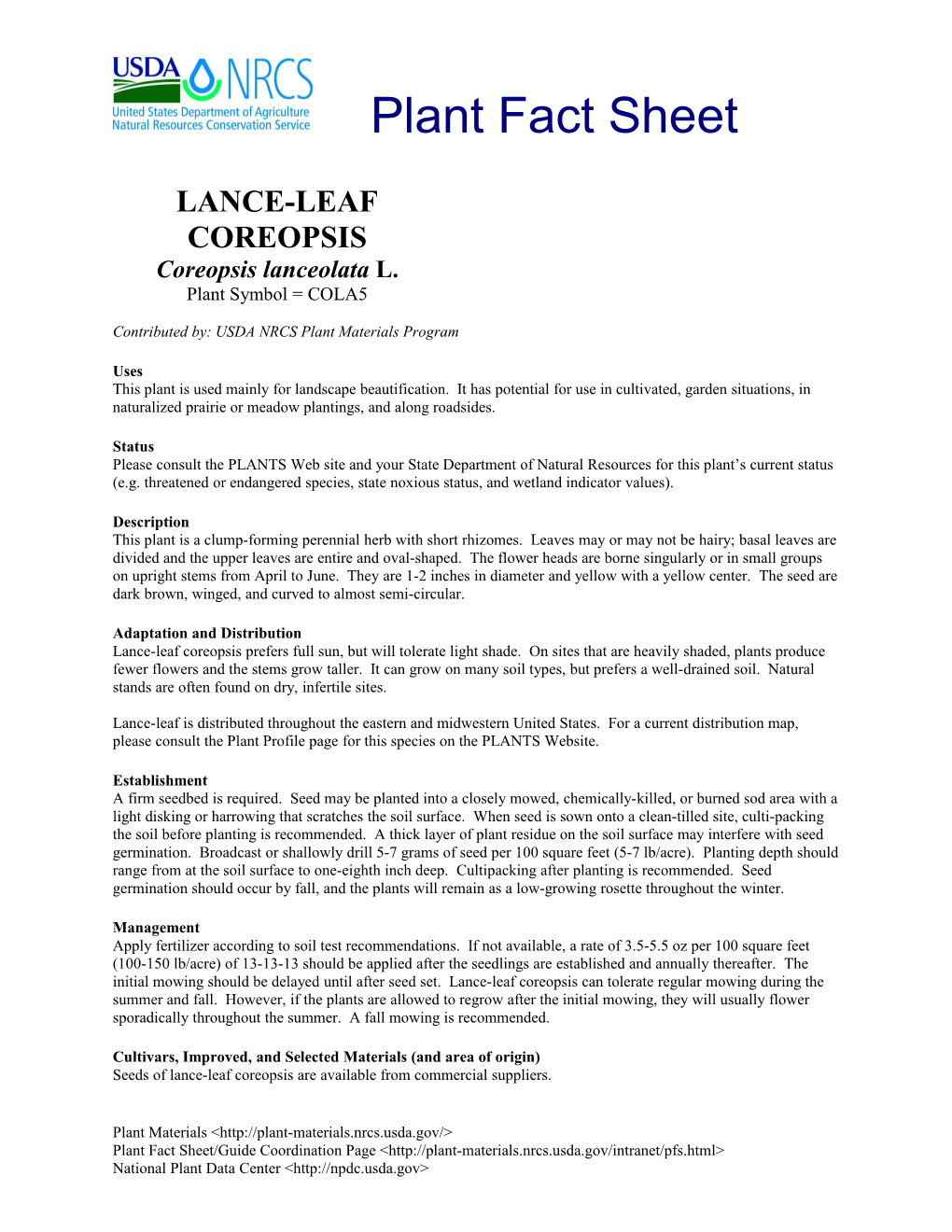 Lance-Leaf Coreopsis