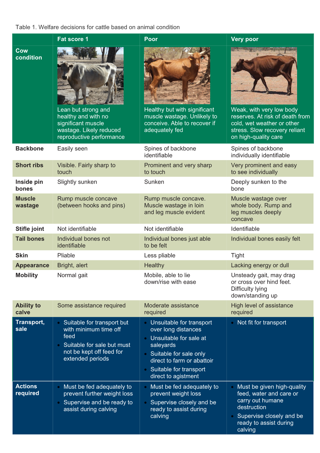 Welfare Decisions for Beef Cattle