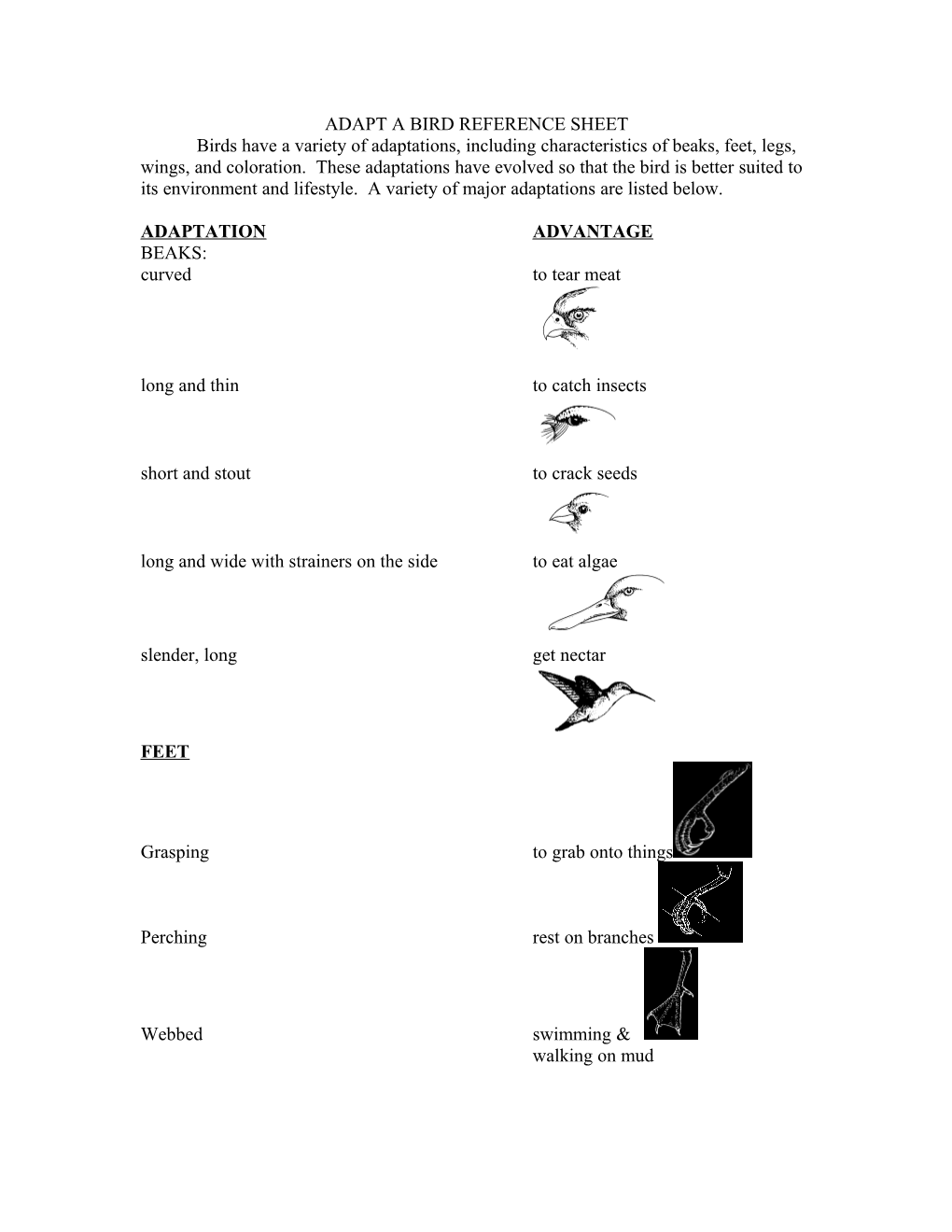 Adapt a Bird Reference Sheet