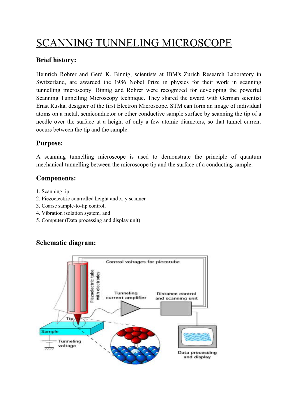 Scanning Tunneling Microscope