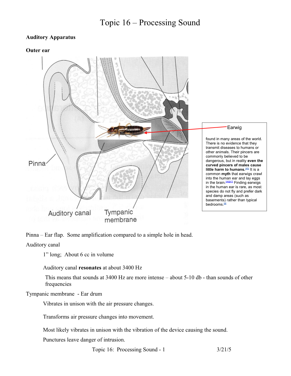 Auditory Apparatus