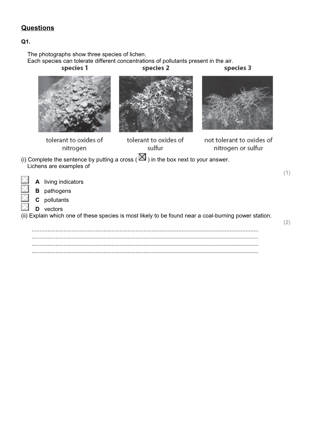 The Photographs Show Three Species of Lichen