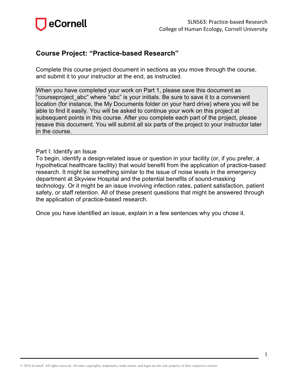 Course Project: Practice-Based Research