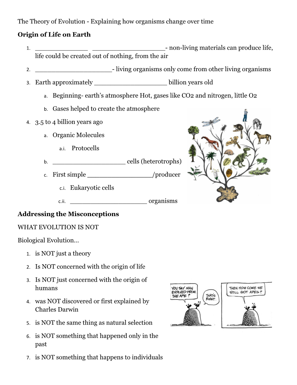 The Theory of Evolution - Explaining How Organisms Change Over Time