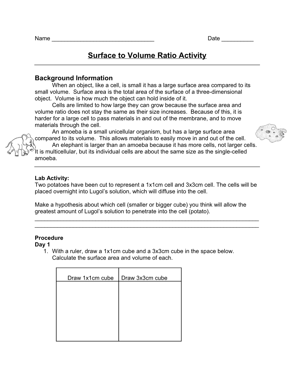 Surface to Volume Ratio Activity
