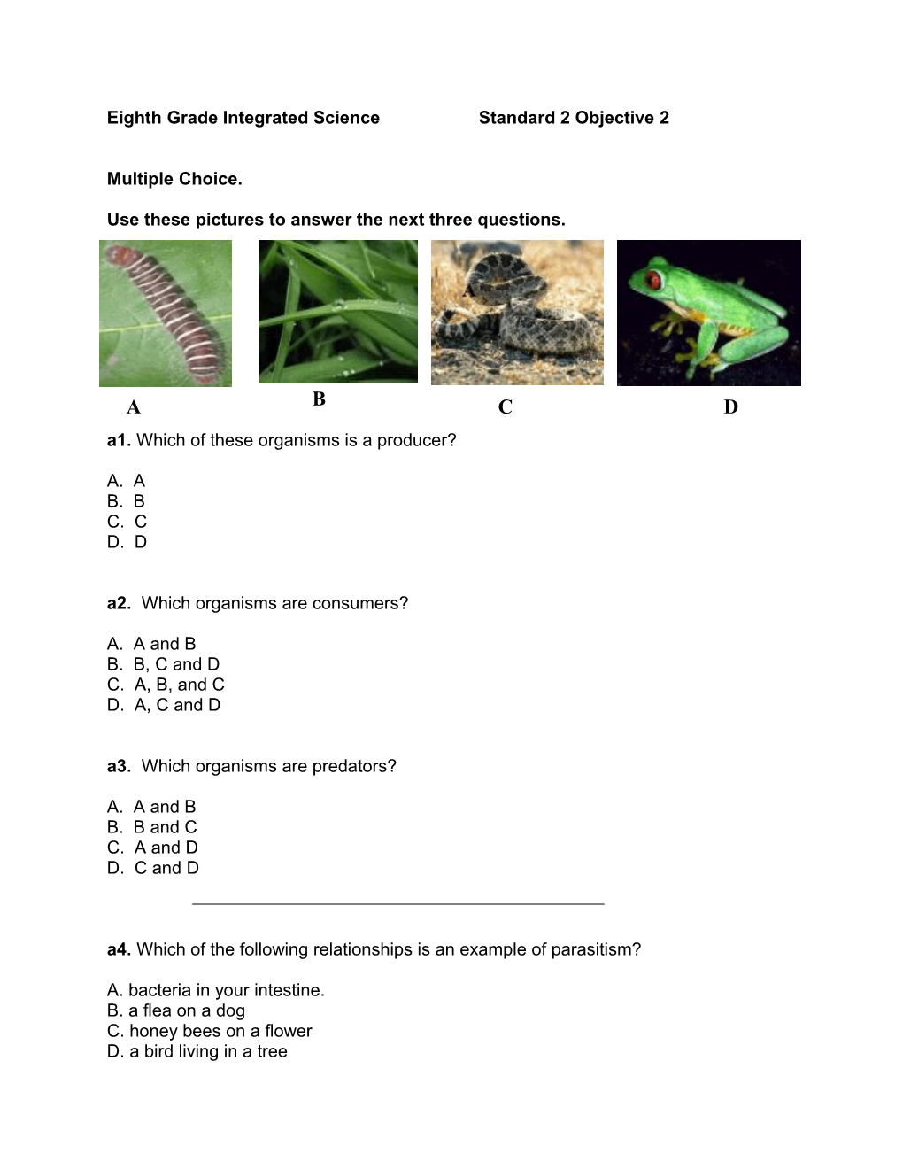 Eighth Grade Integrated Science