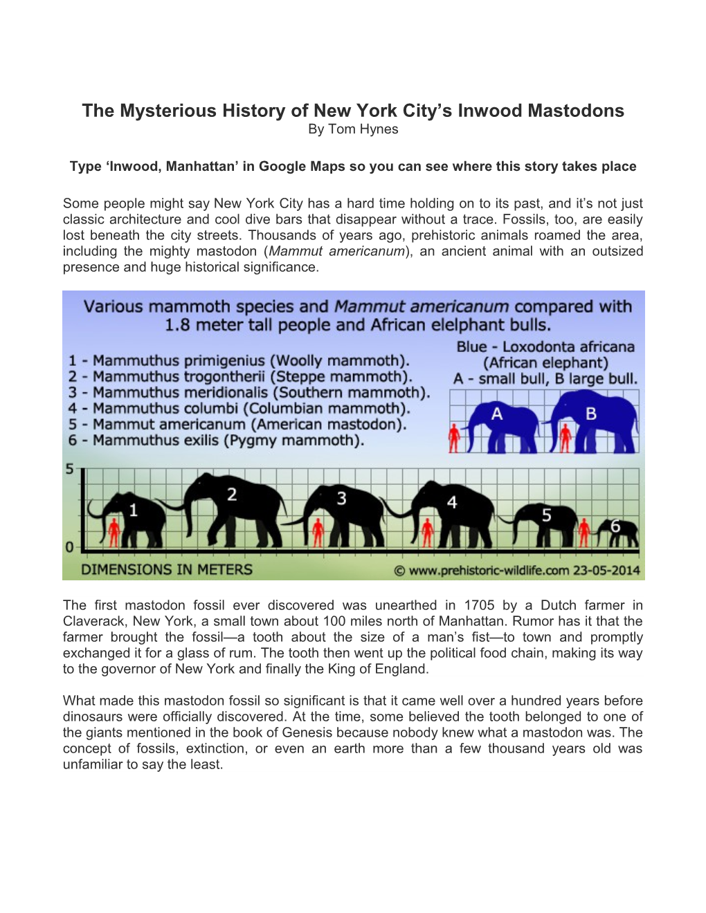 The Mysterious History of New York City S Inwood Mastodons