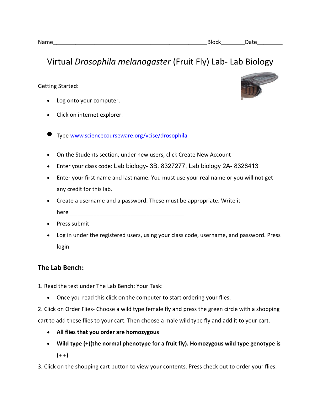 Virtual Drosophila Melanogaster (Fruit Fly) Lab- Lab Biology