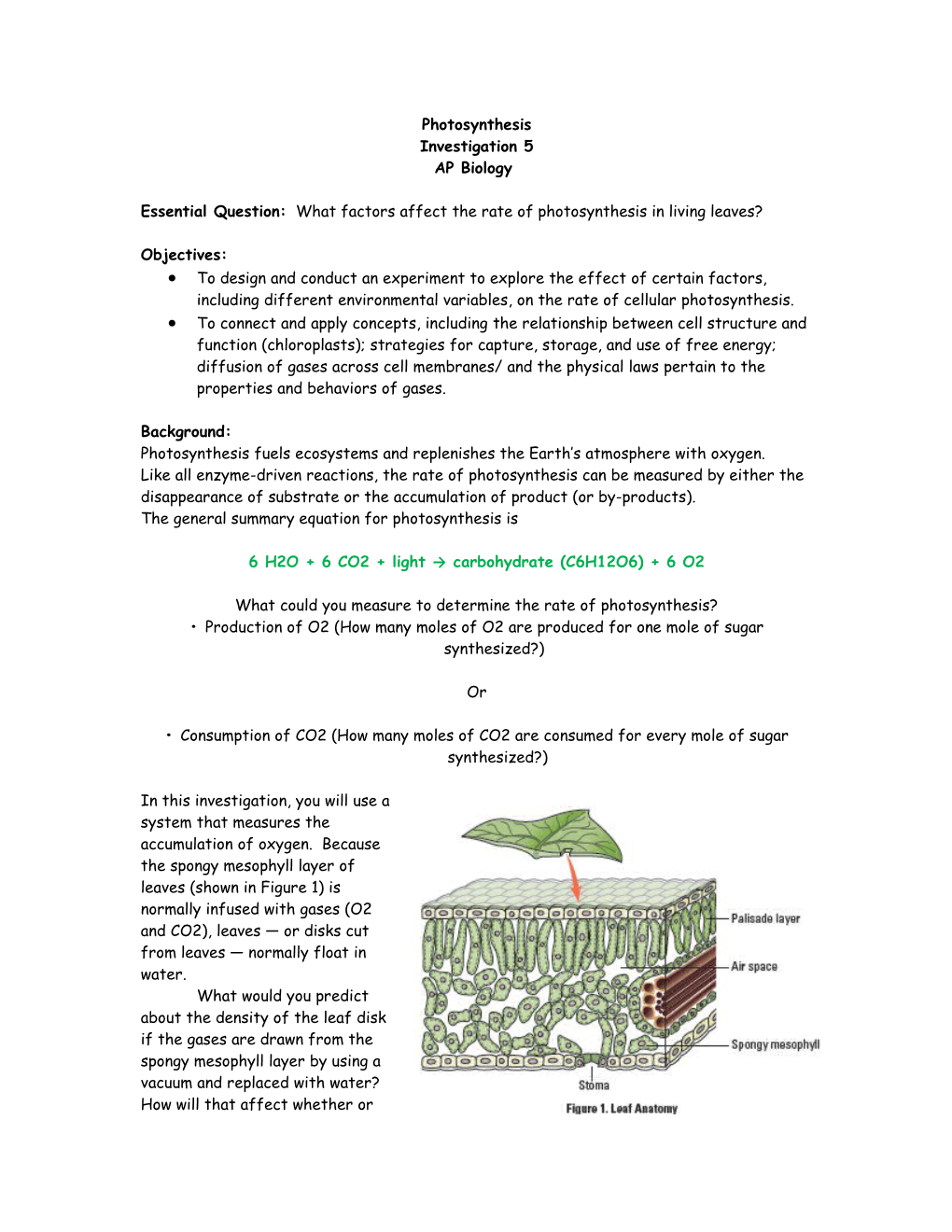 Essential Question: What Factors Affect the Rate of Photosynthesis in Living Leaves?