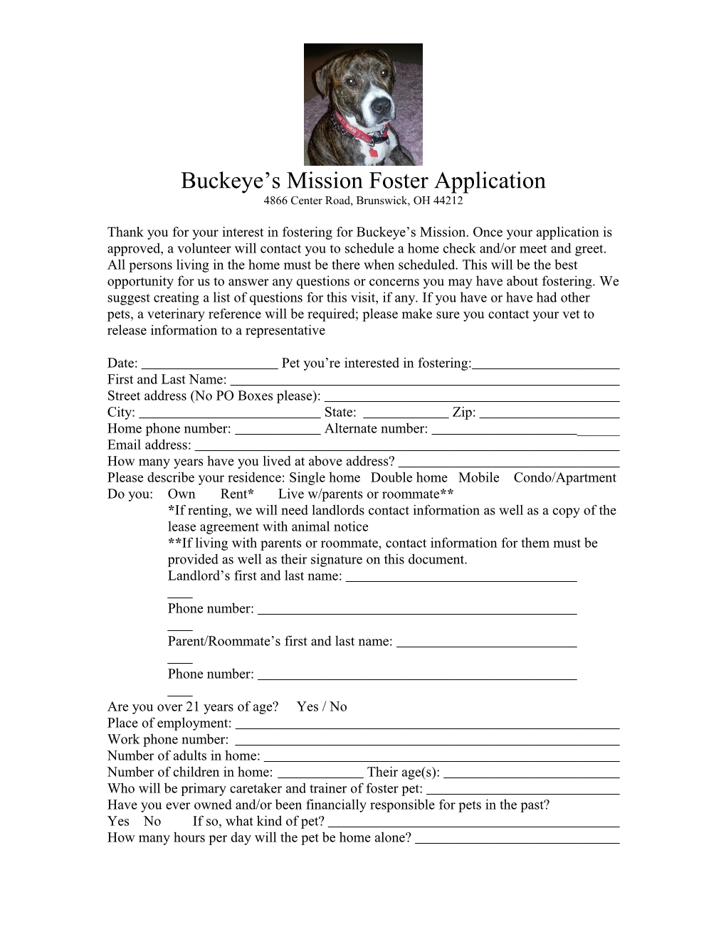 Buckeye S Mission Foster Application