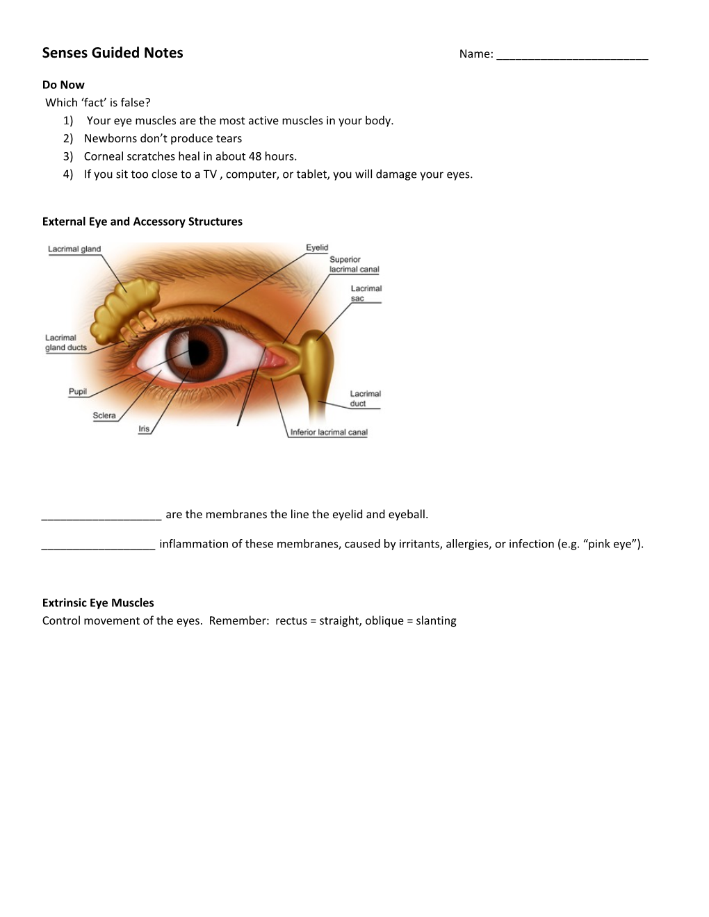 Senses Guided Notes Name: ______