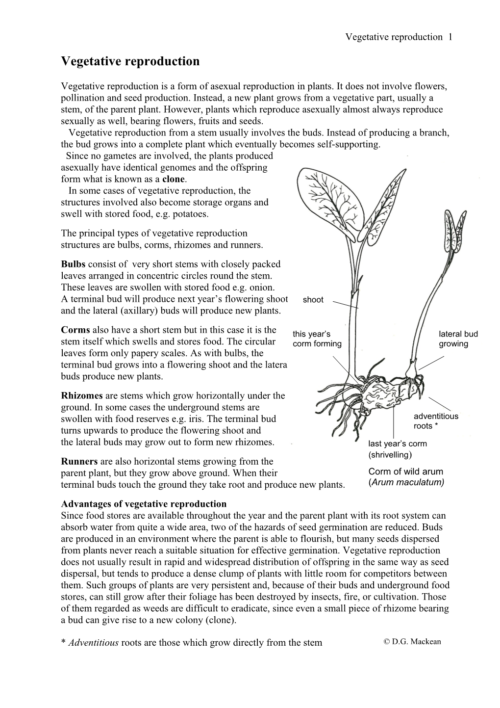 Vegetative Reproduction