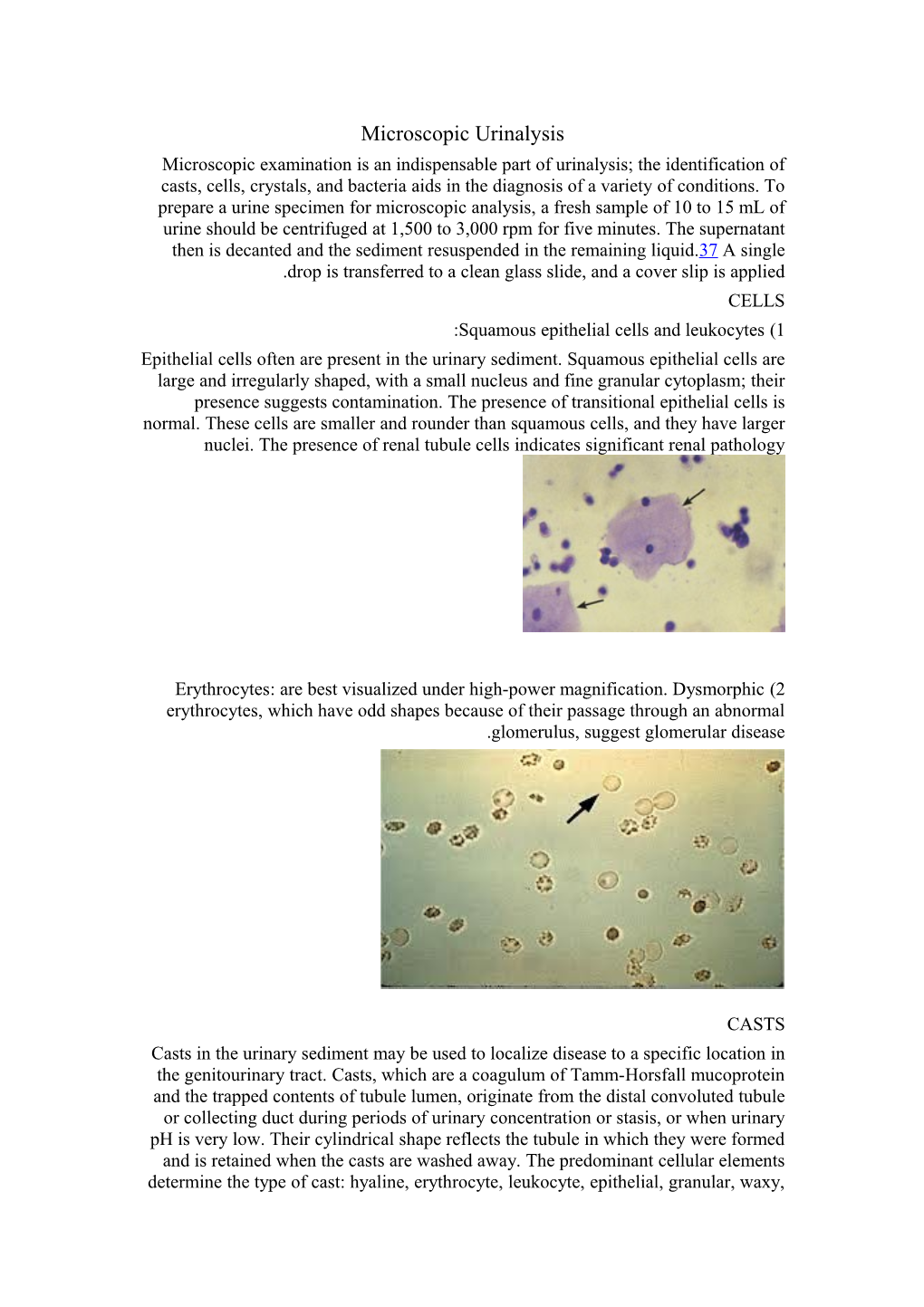 1) Squamous Epithelial Cells and Leukocytes