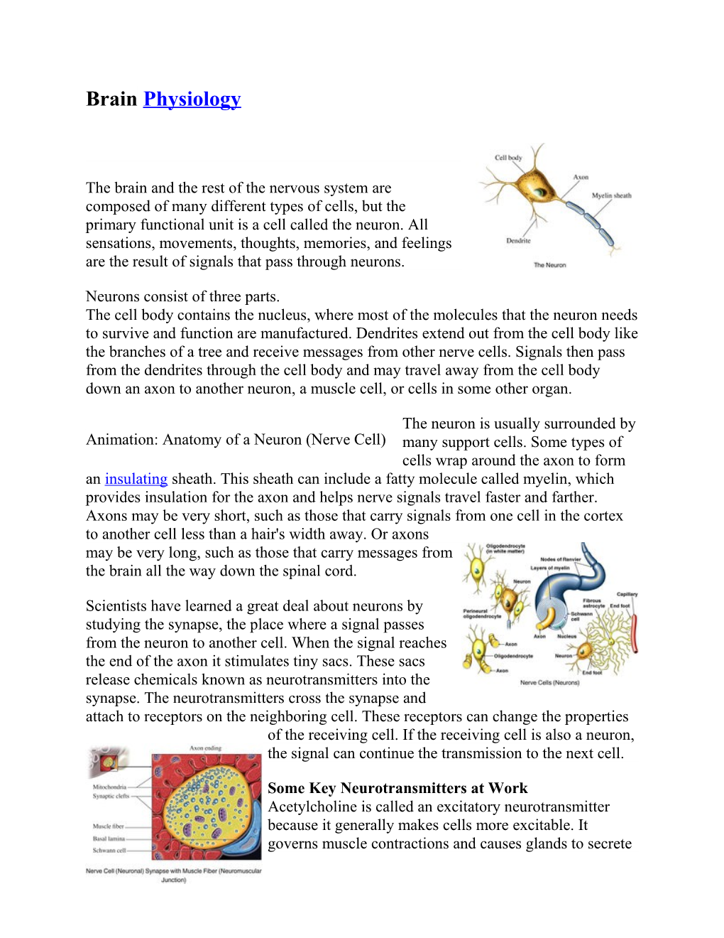 The Brain and the Rest of the Nervous System Are Composed of Many Different Types of Cells