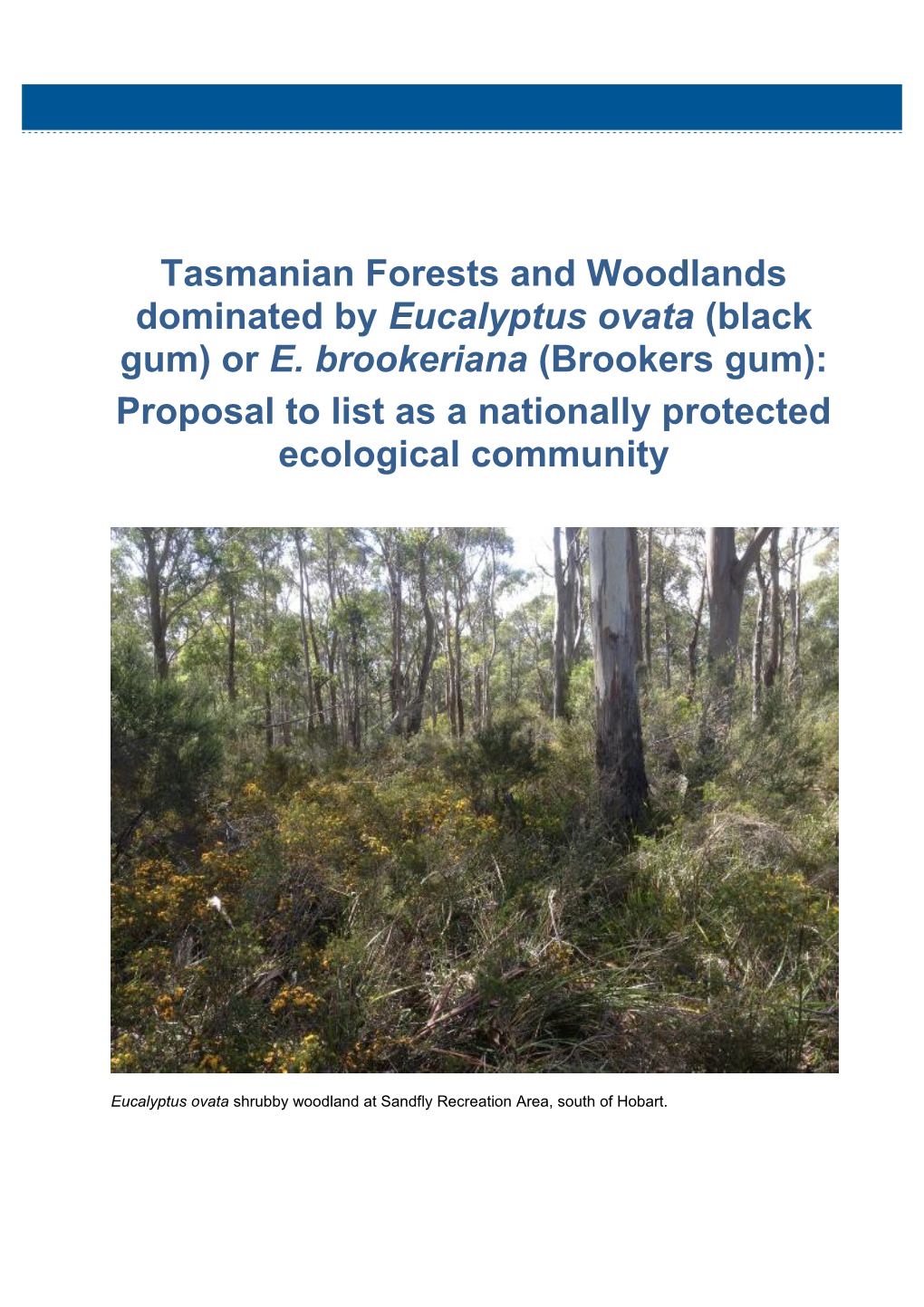 Tasmanian Forests and Woodlands Dominated by Eucalyptus Ovata (Black Gum) Or E. Brookeriana