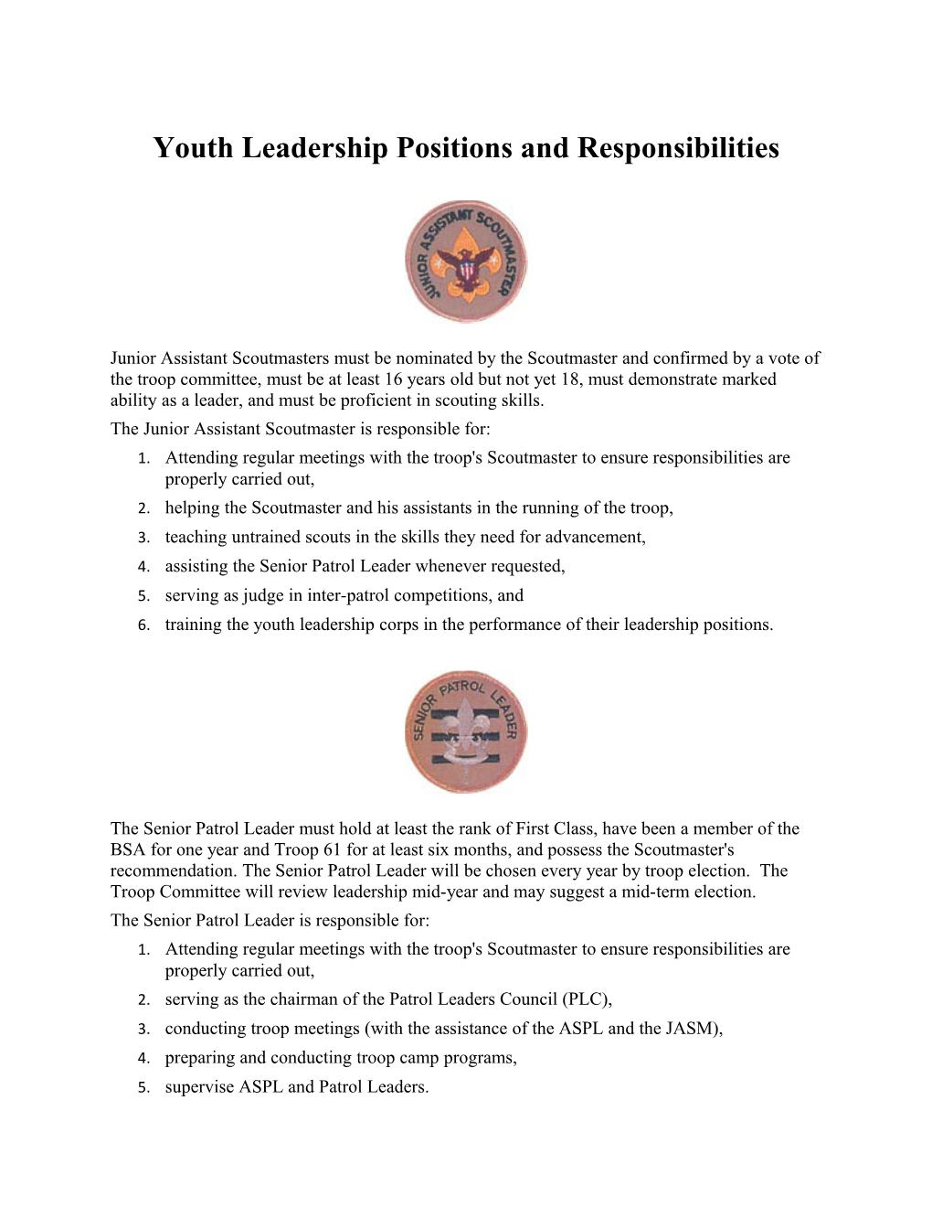Youth Leadership Positions and Responsibilities