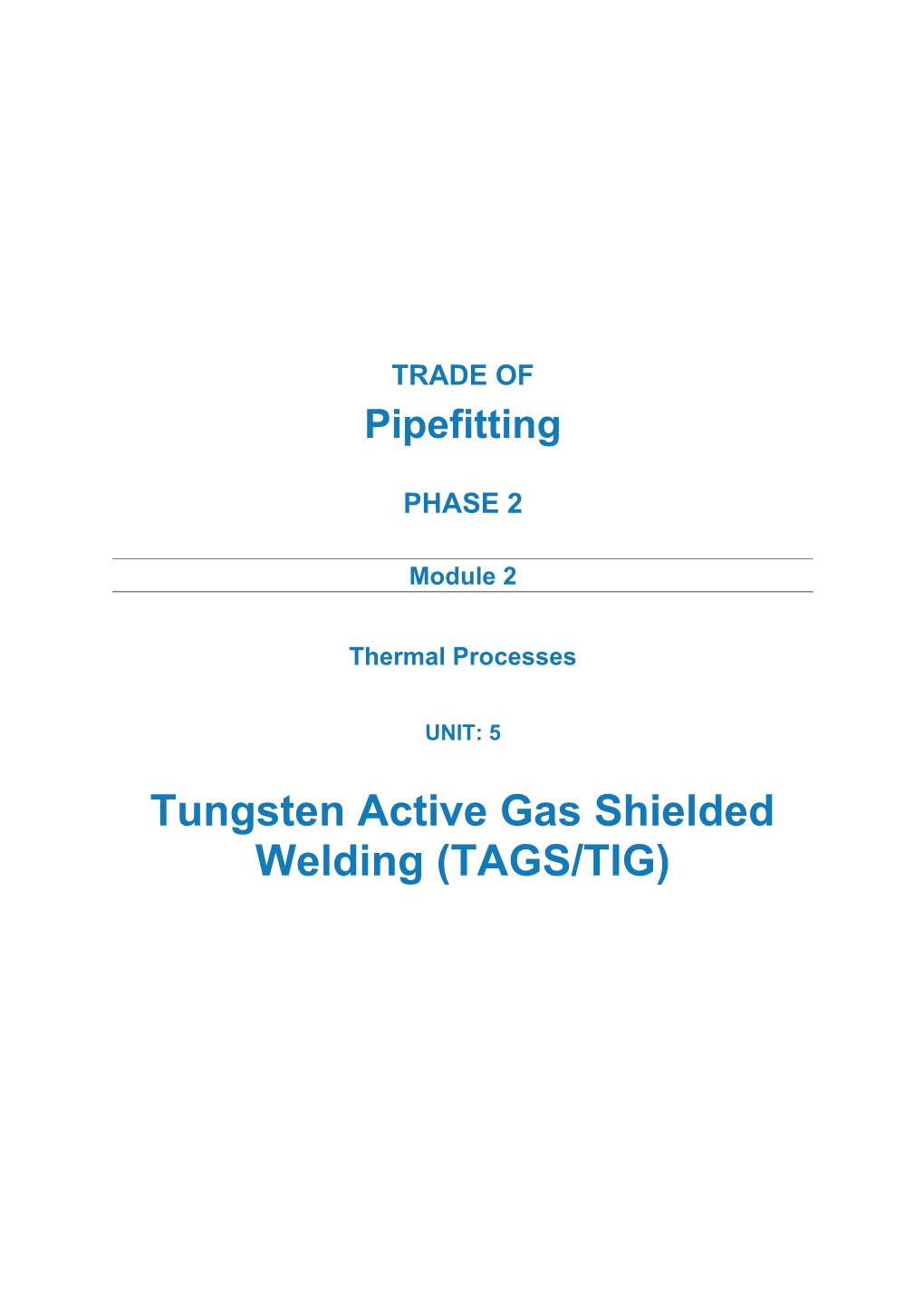 Tungsten Active Gas Shielded Welding (TAGS/TIG)