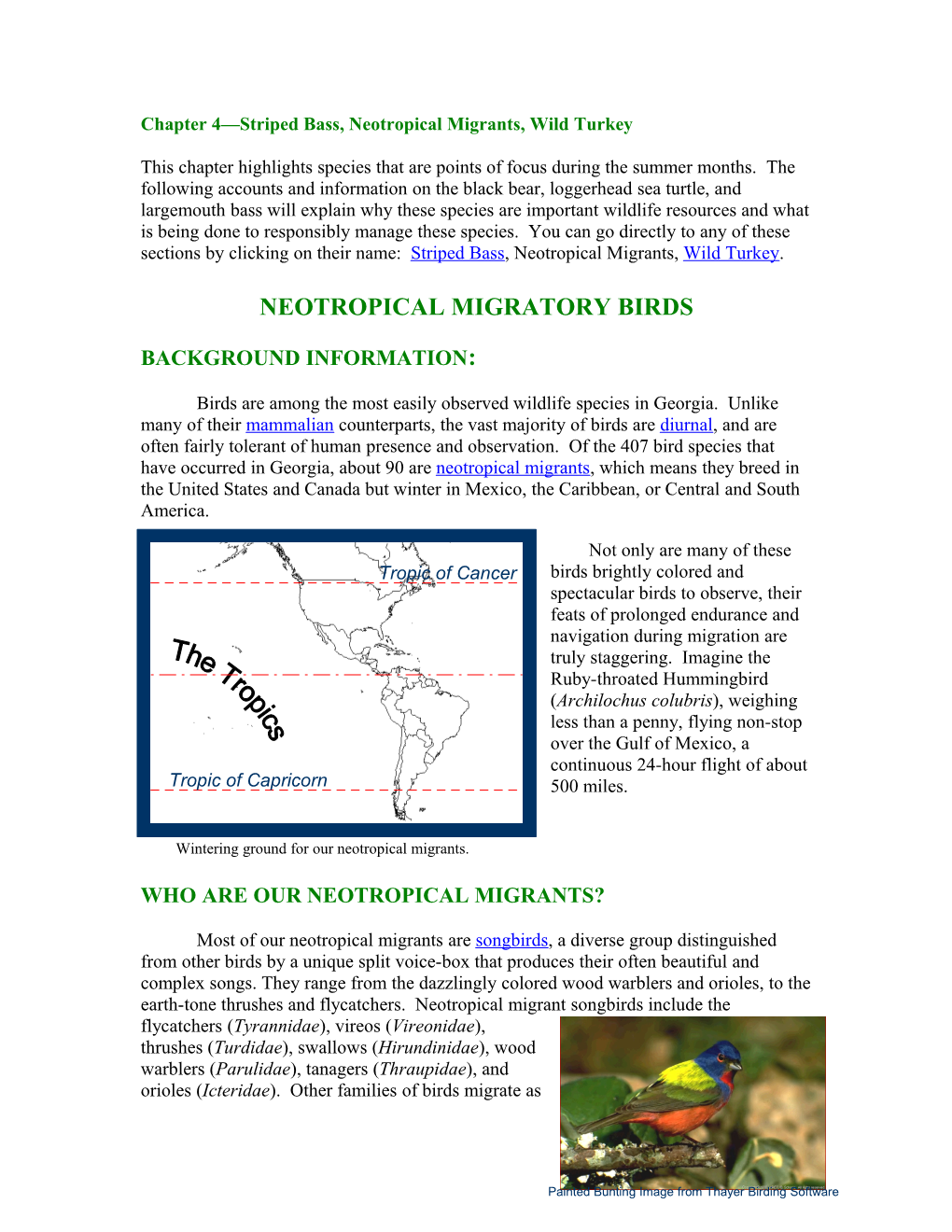 Chapter 4 Striped Bass, Neotropical Migrants, Wild Turkey