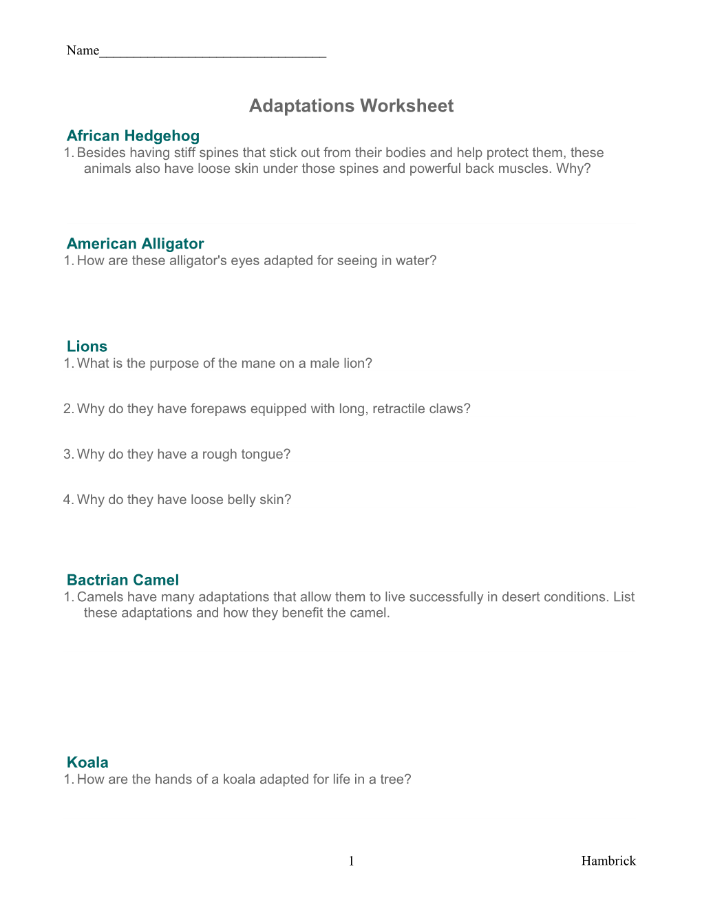 Adaptations Worksheet