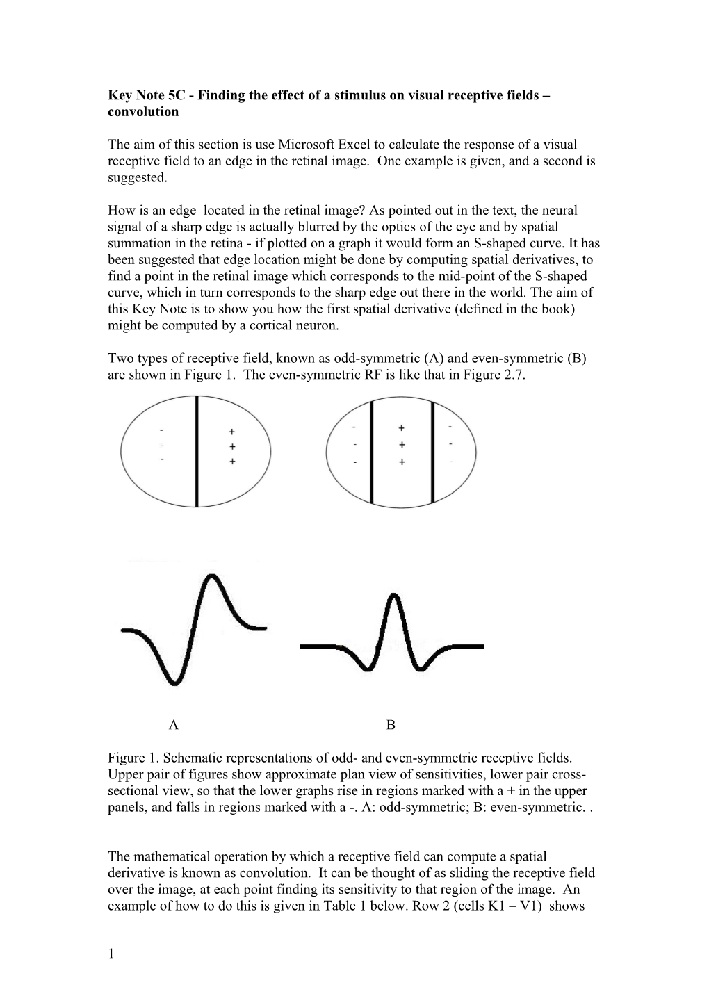 Key Note 5C - Finding the Effect of a Stimulus on Visual Receptive Fields Convolution