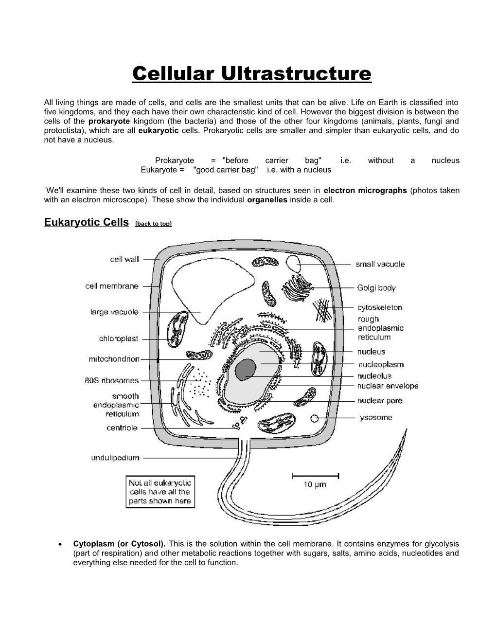 Cellular Ultrastructure