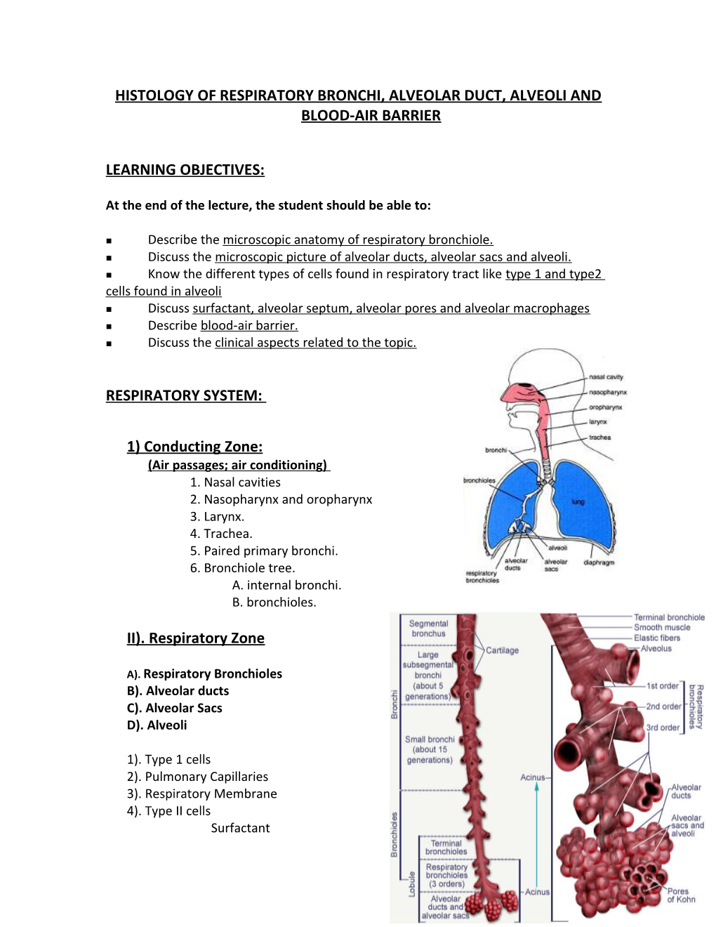 Histology of Respiratory Bronchi, Alveolar Duct, Alveoli and Blood-Air Barrier