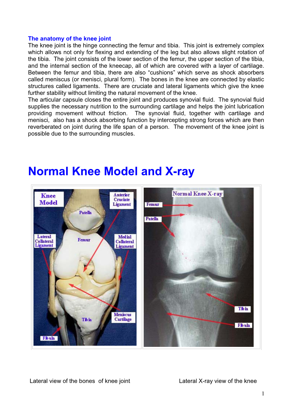 Disorders of the Patellofemoral Joint Are a Common Cause of Knee Pain Throughout Adult Life