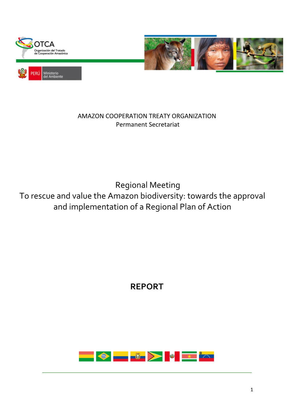 Amazon Cooperation Treaty Organization