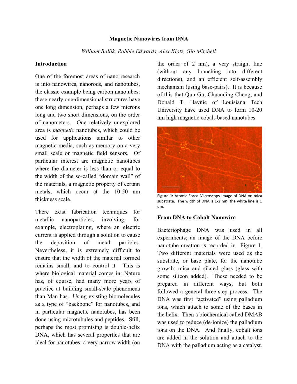 Magnetic Nanowires from DNA